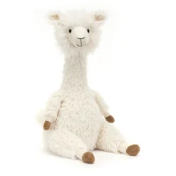 Alonso Alpaca