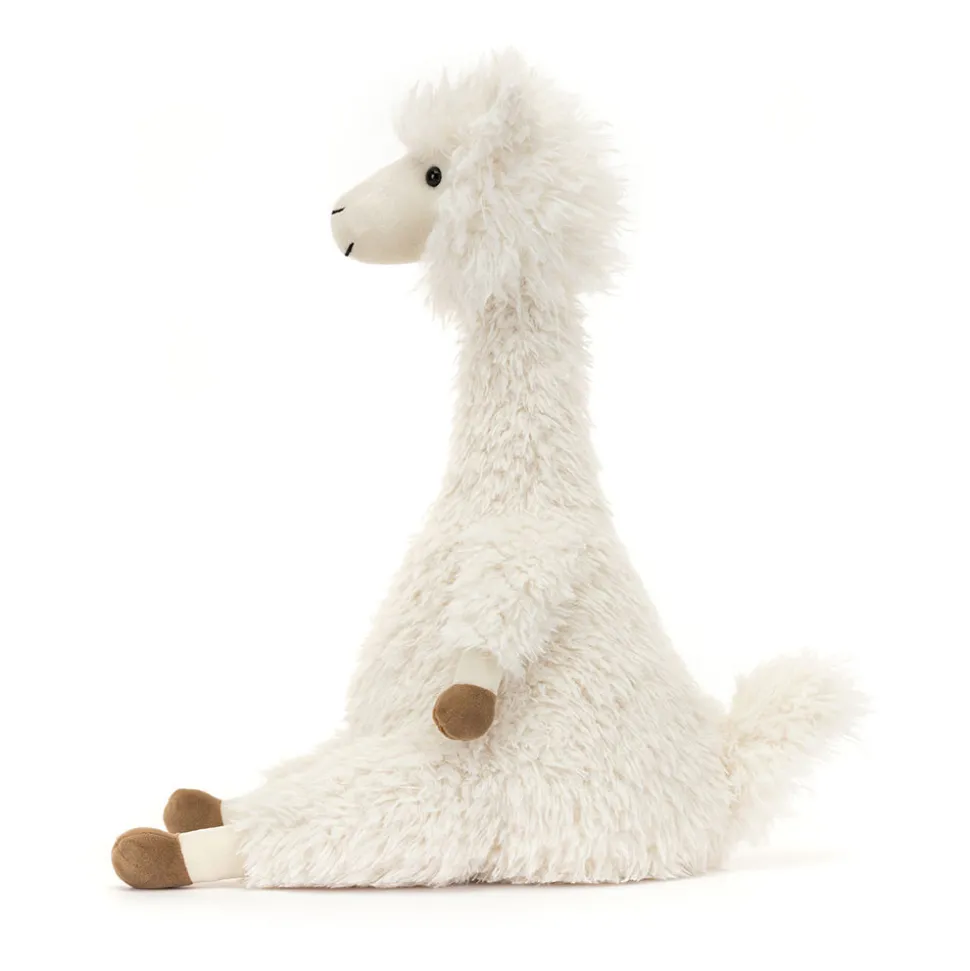 Alonso Alpaca