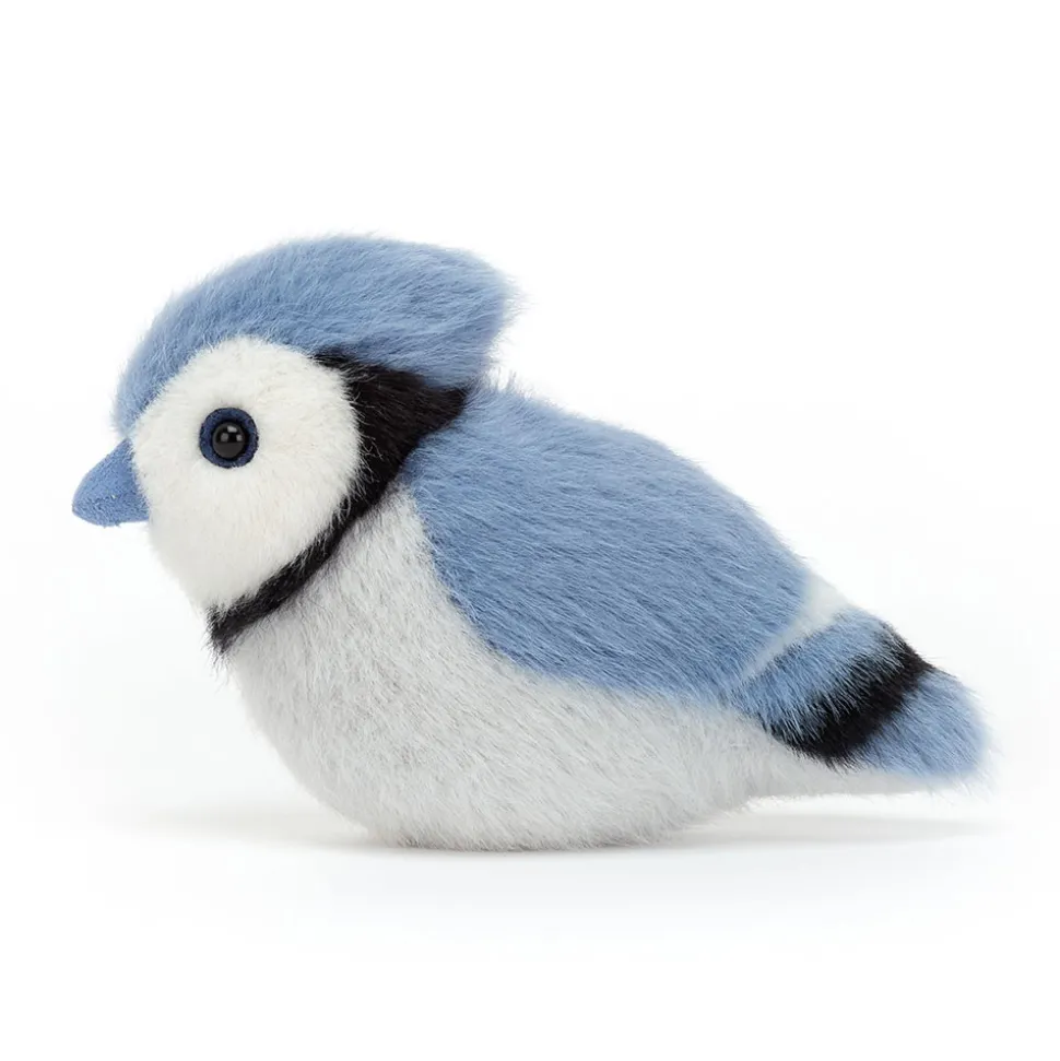Birdling Blue Jay