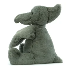 Fossilly Pterodactyl